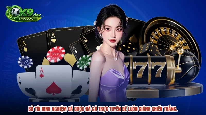 Bỏ túi kinh nghiệm cá cược đá gà trực tuyến để luôn giành chiến thắng.