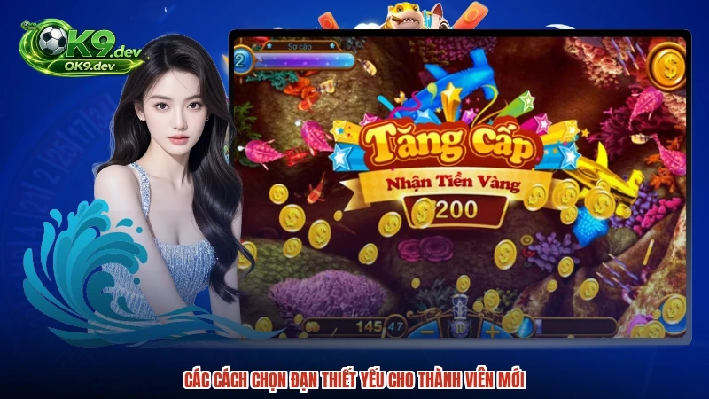 Các cách chọn đạn thiết yếu cho thành viên mới