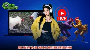Cách Xem Vảy Gà Chọi Chuẩn Xác Nhất Cùng Chuyên Gia OK99