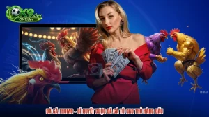 Đá Gà Thomo - Bí Quyết Cược Đá Gà Từ Cao Thủ Hàng Đầu