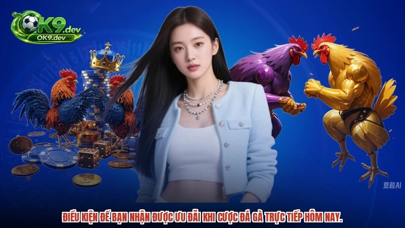Điều kiện để bạn nhận được ưu đãi khi cược đá gà trực tiếp hôm nay.