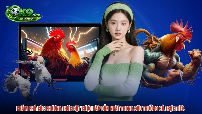 Khám phá các phương thức đặt cược hấp dẫn nhất trong đấu trường gà trực tiếp.