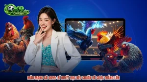 Màu Mạng Gà OK99: Bí Quyết Đọc Kèo Chuẩn Và Cược Thắng Lớn