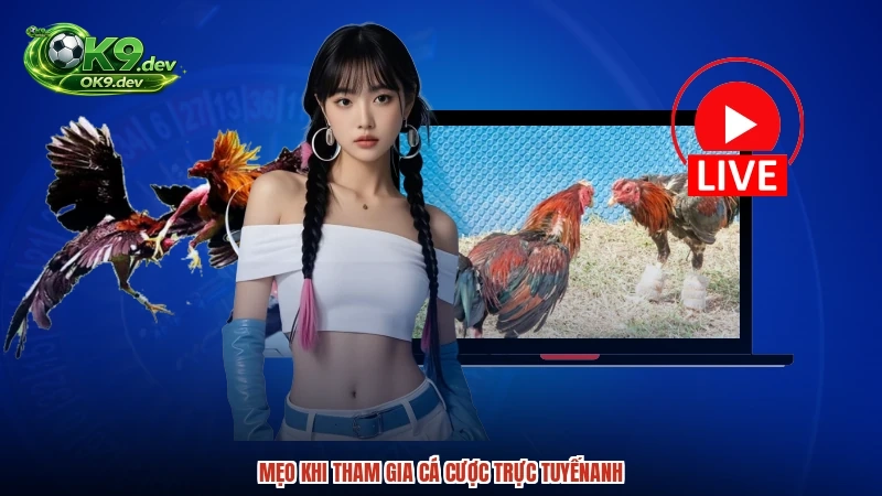 Mẹo khi tham gia cá cược trực tuyếnanh