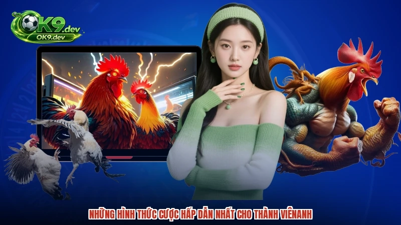 Những hình thức cược hấp dẫn nhất cho thành viênanh