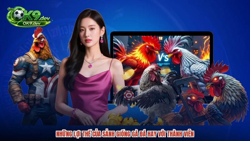 Những lợi thế của sảnh giống gà đá hay với thành viên:comimage1